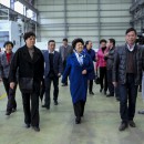 Chairman of Provincial Women’s Federation has an inspection in Hishan
